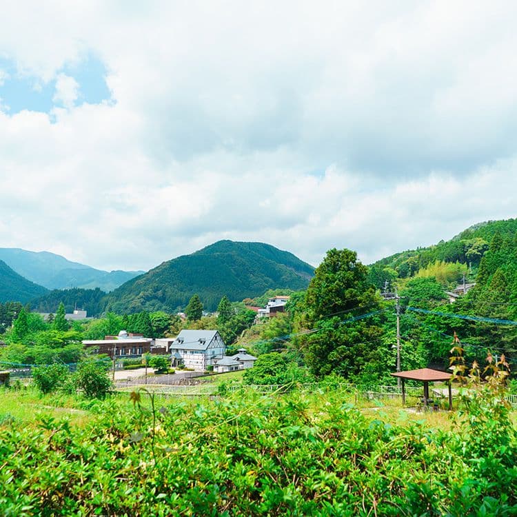 歴史的建物
