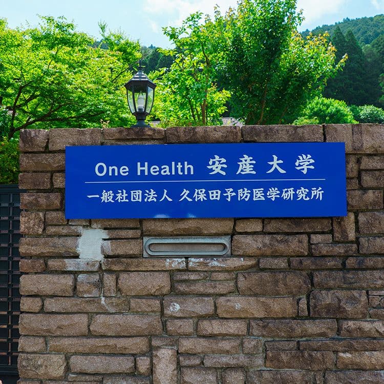 歴史的建物