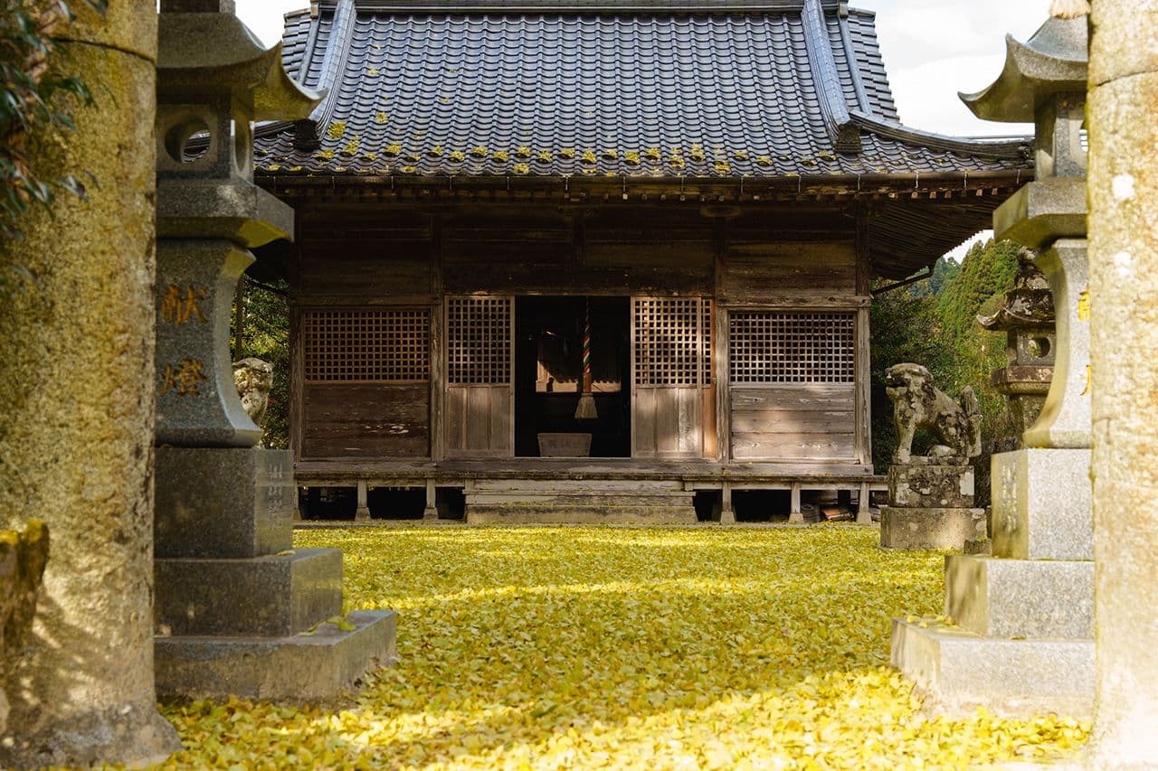 画像